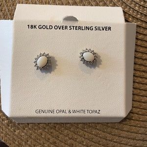 Genuine Opal and White Turquoise Earrings